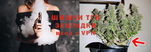 мдпв Карпинск