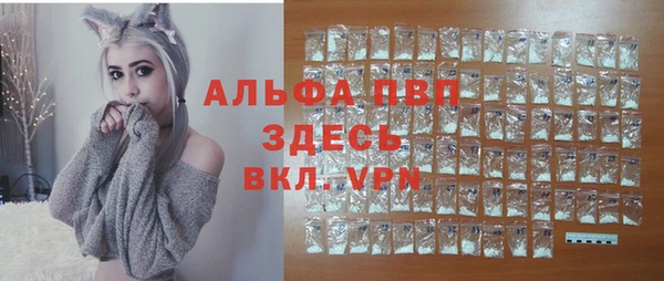 индика Касимов