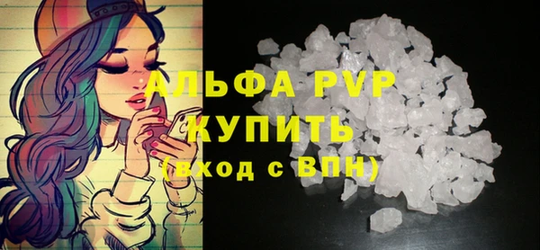 индика Касимов