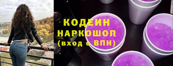 мдпв Карпинск