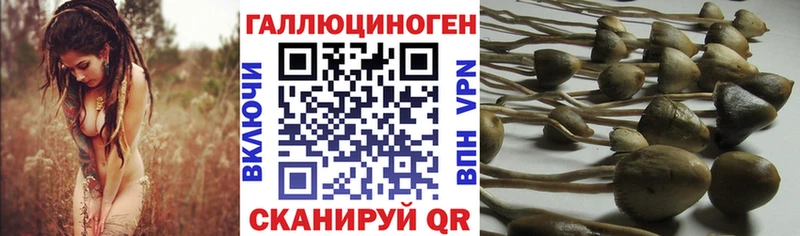 Псилоцибиновые грибы мицелий  Купить где  Сосенский 